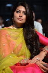 Ulavacharu Biryani Audio Launch